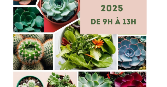 Affiche Troc aux plantes - Dimanche 27 avril 2025