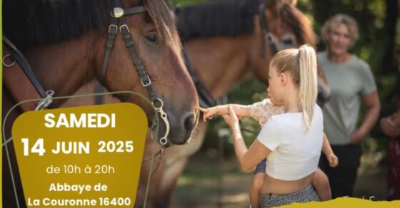 Festival du bien être animal
