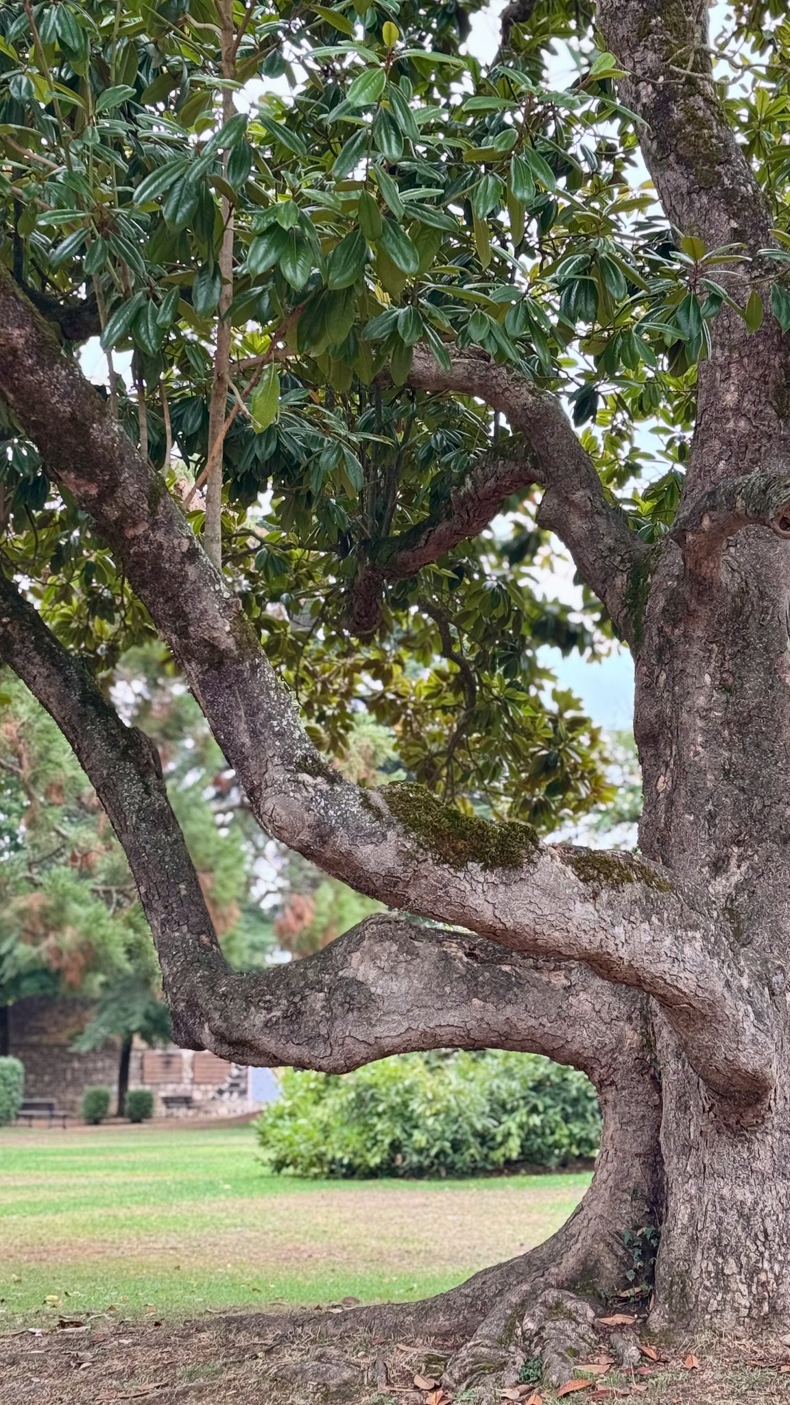 Photo lauréates Capture ton arbre 3