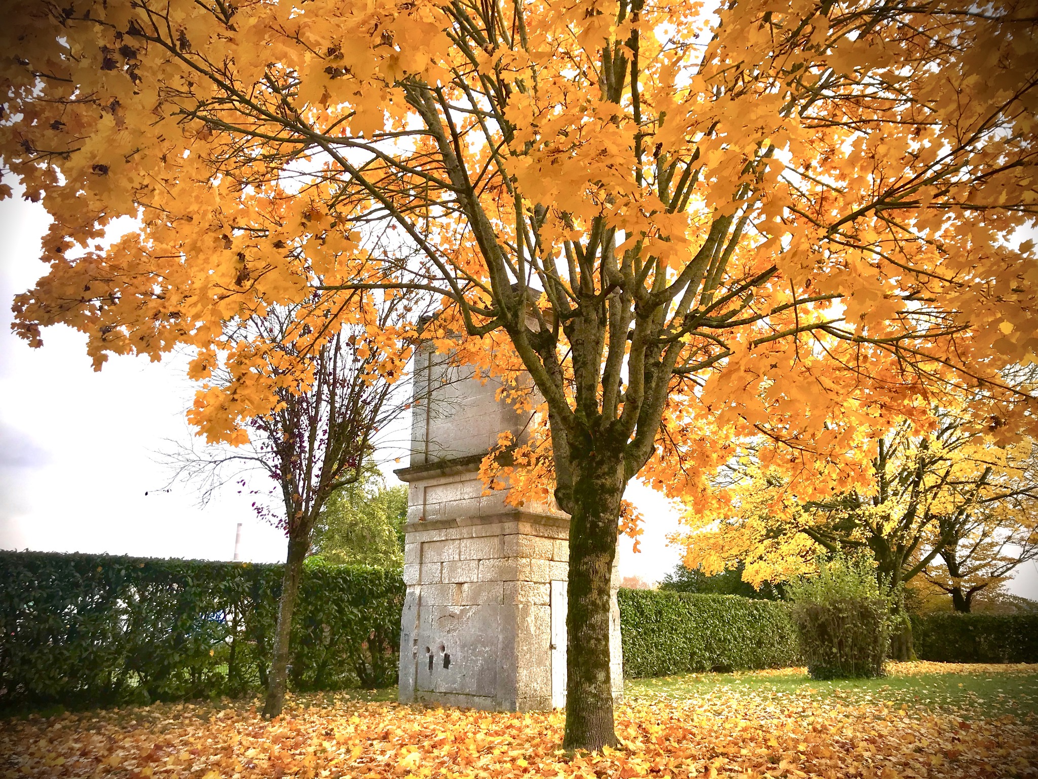 Photo lauréates Capture ton arbre 2