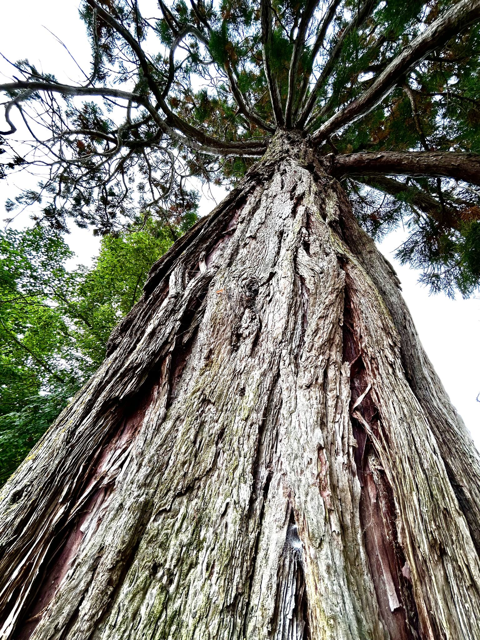 Photo lauréates Capture ton arbre 1