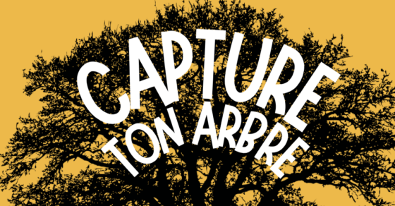 Capture ton arbre - concours photo du 7 juillet au 31 août