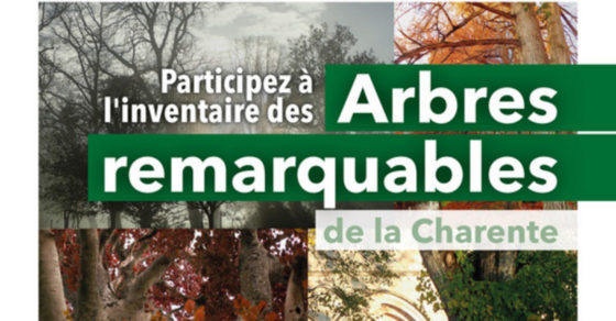 Arbres remarquables