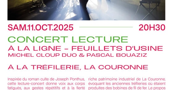 affiche concert Michel Loup