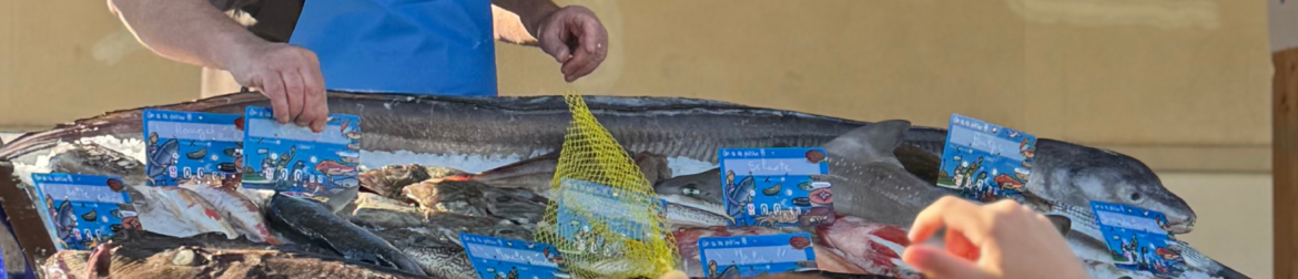 Semaine du goût - Visite poissonnier - 1