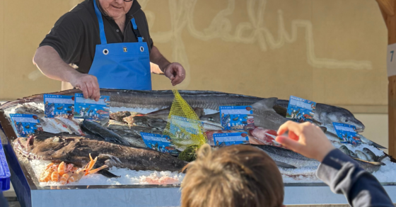 Semaine du goût - Visite poissonnier - 1