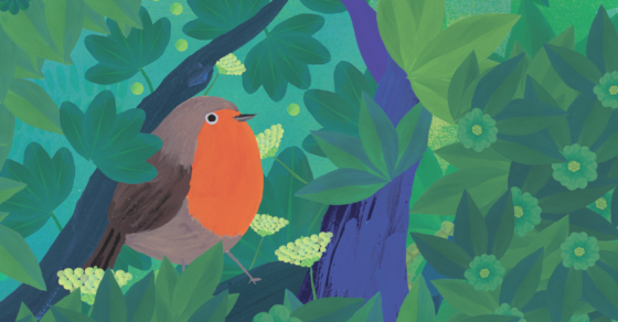 Observons les oiseaux - Exposition