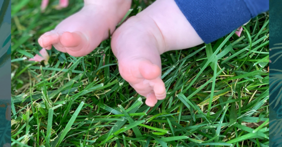 Affiche animation lecture enfants « Les pieds dans l’herbe » au jardin public Eugène Bureau le 6 juin 2026