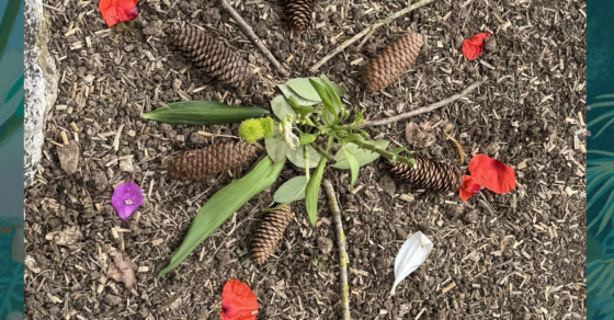 Affiche atelier land art au jardin public Eugène Bureau le 7 juin 2026