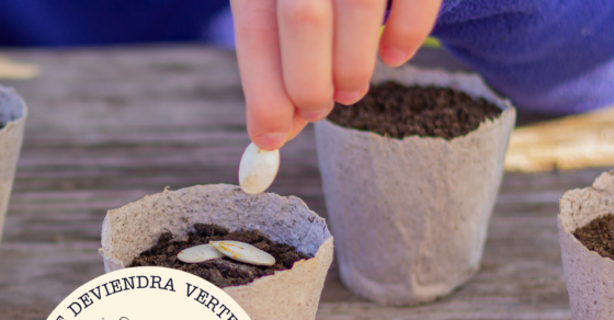 Affiche atelier jardinage enfants « Petite graine deviendra verte » à La Tréfilerie